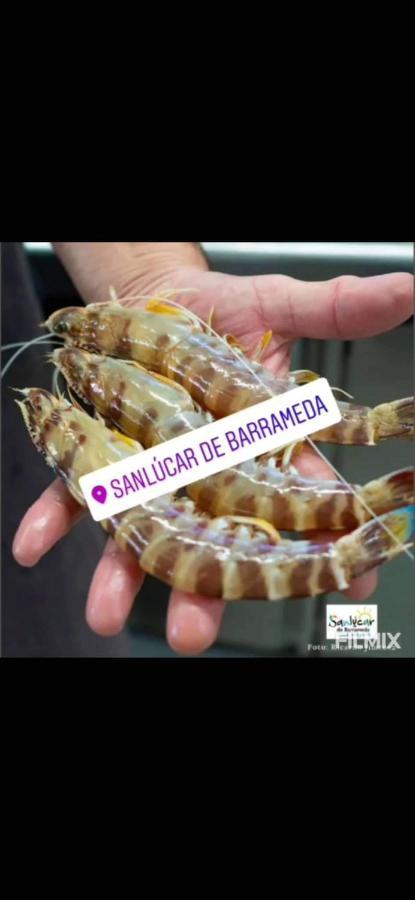 Piso De Dos Dormitorios En El Centro De Sanlúcar de Barrameda Zewnętrze zdjęcie